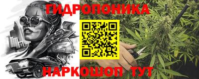 шишки Рыбинск