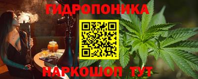 шишки Рыбинск