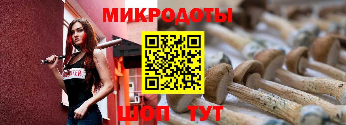 Россошь  Псилоцибиновые грибы GOLDEN TEACHER  Вход с VPN  Галлюциногенные грибы Psilocybe 